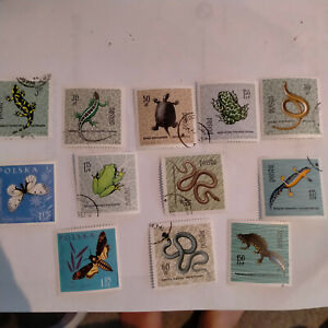 stamps Polska POLAND 1961 INSECTS BUTTERFLYS REPTILES 12 stamps mint unhinged