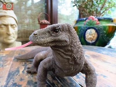 KOMODO DRAGON LIZARD, Home & Garden Ornament. Vivid Arts. 26cm long.
