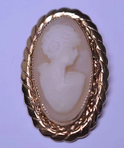 VINTAGE RAQUEL GOLD FILLED LONG OVAL SHELL CAMEO PIN WITH BEAUTIFUL FRAME IN BOX - Picture 1 of 5