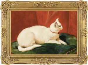 Old Master-Art Antique Oil Painting animal Portrait a white cat on canvas 24x36" - Picture 1 of 2