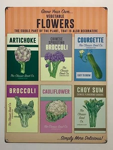 Gemüseblumen selber züchten - Wandschild aus Blech - Bild 1 von 1