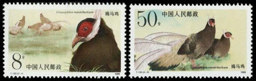 China PRC T134 faisão orelha marrom 1989 conjunto único, sem marca de charneira - Imagem 1 de 1