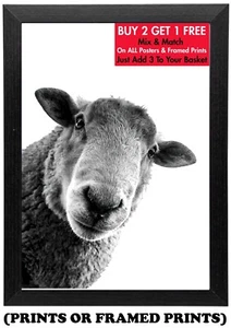 Ovejas Curiosas - Póster B&W - Estampado Arte en Pared de Animales - A5 A4 A3 #179 - Imagen 1 de 17