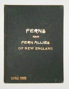 The Ferns and Fern Allies of New England by Raynal Dodge – HC – Original - 1896 - Picture 1 of 7