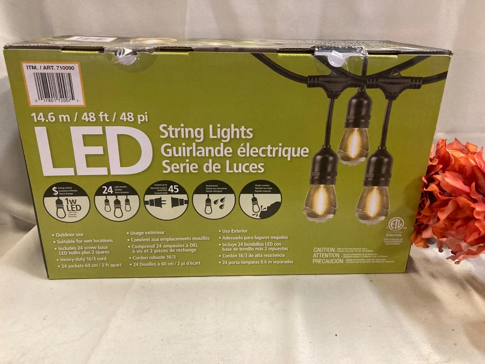 Juego de luces de cadena de filamento LED Feit Electric 48' Foto 1 de 1