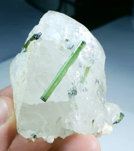 555 Carats Tourmaline Crystal With Quartz on Matrix Damage Free Beautiful Shape - Picture 1 of 7
