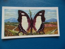 Great Britain Brooke Bond original 1964 teacard "Butterflies of the World" No.11
