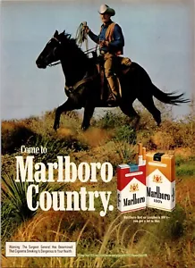 ANNUNCIO STAMPA COUNTRY MARLBORO 1981 VINTAGE - Foto 1 di 1