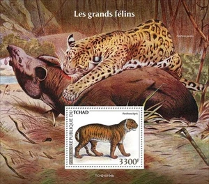 Chad - 2021 Big Cats, Tiger - Stamp Souvenir Sheet - TCH210104b - Picture 1 of 1