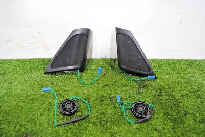 BMW SERIE 7 G11 G12 9354083 SET HIFI SYSTEM TWEETER CON TRIANGOLO | 8821 - Immagine 1 di 4