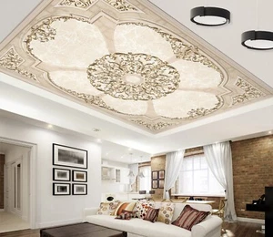 3D Musterkunst H2049 Decke Tapete Wandbilder Wandbild Aufkleber Deco Erin 23 - Picture 1 of 5