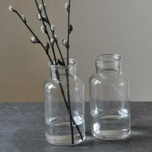 Mini Clear Glass Botanical Bottle Jar, Vintage Rustic Bud Flower Vase 8x16.5 - Picture 1 of 1