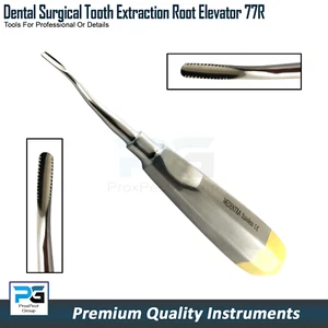 Dental Root Elevator 77R 2.5mm Tooth Extraction Elevators Veterinary Surgical - Picture 1 of 8
