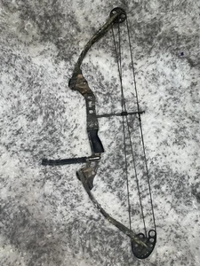 Compound Bow - Picture 1 of 4