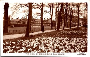 RPPC Cambridge England Clare College Campus Backs Postcard A32 - Picture 1 of 2