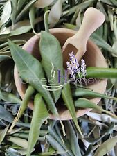 Greek Dried Olive Leaves Loose Herb Tea 20g(0.7oz)-400g(14.10oz) Olea Europaea