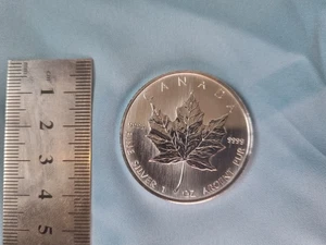 2006 SILVER Canadian Maple Leaf 1 oz coin 999.9 - Picture 1 of 3