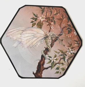 Rawshock,  shaped Picture Disc, one of ten made - Picture 1 of 3