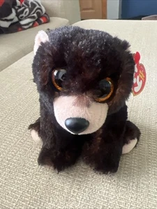 TY Beanie Baby - KODI the Black Bear (6 inch) New - Picture 1 of 7