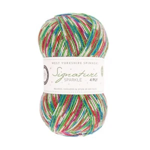 Fairy Lights Sparkle (905) WYS Signature 4 Ply Yarn Wool 100g - Picture 1 of 3