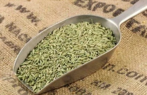 Fennel Powder *Grade A* 100% Pure Quality Free P&P - 100g - 800g - Picture 1 of 1