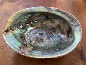 Ungewöhnliche Abalone Shell 5 1/4" - Bild 1 von 4