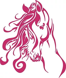 Horse Head Western Rodeo Cowgirl Car Truck Window Laptop Vinyl Decal Sticker - Picture 1 of 2