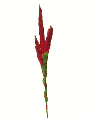 (01577-33984) ARTIFICIAL FLOR VRIESEA SPLENDENS ESPADA FUEGO PLUMA INDIO ROJO - Imagen 1 de 2