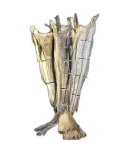 Norwegian Stockfish Whole or Cut 10 Lbs - Picture 1 of 3