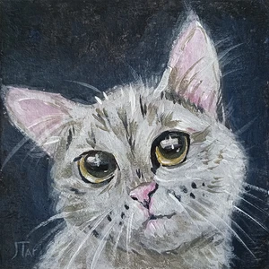ACEO Acrylic Card Cute cat portrait tiny decor - Picture 1 of 5
