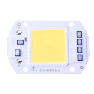 50W LEDs Floodlights Lighting COB Chips 220V Input Integrated Smart IC Drivers - Picture 1 of 7