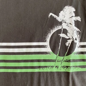 NWT Lucky Brand Mens Size Small T-Shirt Green & White Stripes Short Sleeve Brown - Picture 1 of 10