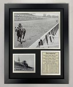 Souvenirs de collection Championsip Racehorse | Chevaux de course triple couronne | Encadrés - Photo 1/2