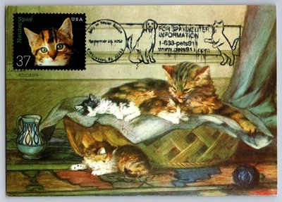 #3670 Neuter and Spray Cats FDC Maxi Card w/Pictorial Cancel - Image 1 of 2
