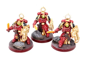 Warhammer Space Marines Bladeguard Veterans Well Painted A1 - Picture 1 of 5
