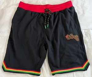 LRG Lifted Research Group Mens Size Large Athletic Shorts Sweet Rasta Colorway!! - Picture 1 of 15