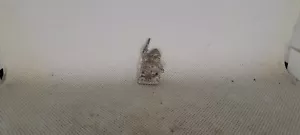 28mm Retro Warhammer - Dwarf w/ Spear Type 4 - Picture 1 of 3
