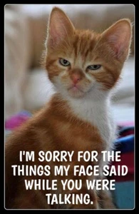 Funny Cat  refrigerator magnet 3 1/2 x 4 1/2" - Picture 1 of 1