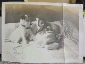 Antikes Foto Afroamerikanisches Baby mit Scottish Terrier Scotty Hund - Bild 1 von 3