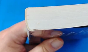 Issues in Advanced Television Technology (Paperback or Softback) - Picture 1 of 3