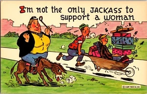 Postal I'm not the Only Jackass to Support a Woman Burro Humor Compras Humor - Imagen 1 de 2