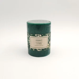 Pier 1 Imports Vela Pilar Verde Perenne Fragancia Hogar Sellada Sin Usar Nuevo de Lote Antiguo - Imagen 1 de 10