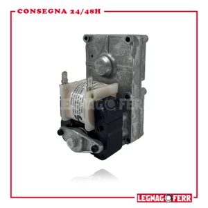 EXTRAFLAME NORDICA ROSY MOTORIDUTTORE 2 RPM 2271032 ORIGINALE - Foto 1 di 3