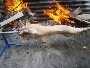 Spanferkelgrill, Lammgrill,Hähnchengrill,Bratengrill 45 cm Hoch - Bild 1 von 12