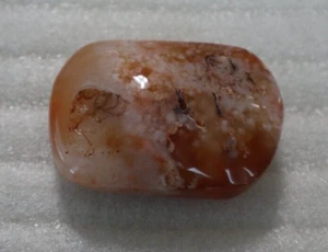 PIEDRA DE PALMA DE CORNALINA 2,09 X 1,44 PULGADAS/68,5 GRAMOS - Imagen 1 de 5