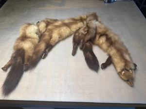 Vintage Mink Stole - Picture 1 of 1