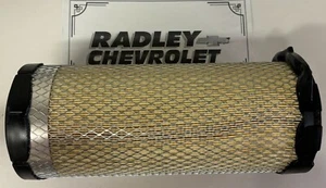 NEW GM OEM AIR FILTER- GENERAL MOTORS GMC 84373974 - Picture 1 of 1