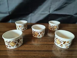 Royal Doulton Indian Summer Set Of Five Ramekins Old Stamp - Picture 1 of 5