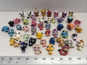 Lotto Figurine Little Pet Shop, Vari Animali Usate Condizioni - Foto 1 di 17