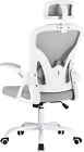 Farini Office Desk Chair With Flip-Up Armrest, High Back Ergonomic Computer With